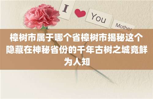 樟树市属于哪个省樟树市揭秘这个隐藏在神秘省份的千年古树之城竟鲜为人知