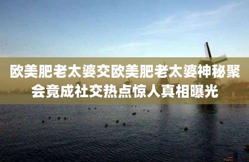 欧美肥老太婆交欧美肥老太婆神秘聚会竟成社交热点惊人真相曝光