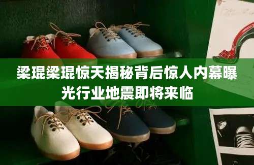 梁琨梁琨惊天揭秘背后惊人内幕曝光行业地震即将来临