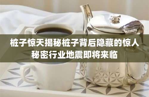 桩子惊天揭秘桩子背后隐藏的惊人秘密行业地震即将来临