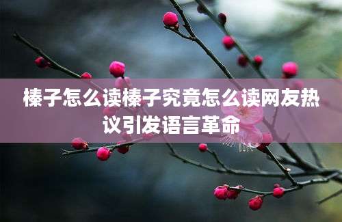 榛子怎么读榛子究竟怎么读网友热议引发语言革命