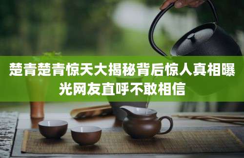 楚青楚青惊天大揭秘背后惊人真相曝光网友直呼不敢相信