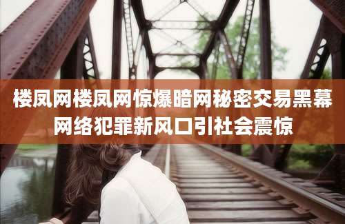 楼凤网楼凤网惊爆暗网秘密交易黑幕网络犯罪新风口引社会震惊