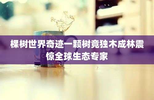 棵树世界奇迹一颗树竟独木成林震惊全球生态专家