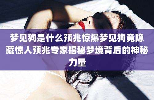 梦见狗是什么预兆惊爆梦见狗竟隐藏惊人预兆专家揭秘梦境背后的神秘力量