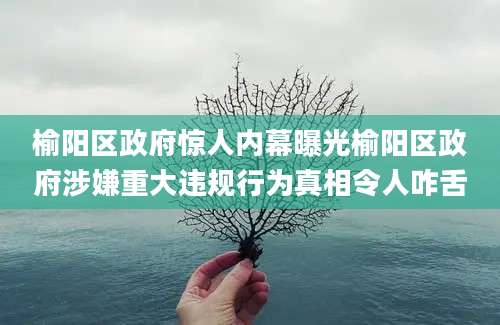 榆阳区政府惊人内幕曝光榆阳区政府涉嫌重大违规行为真相令人咋舌