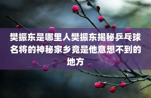 樊振东是哪里人樊振东揭秘乒乓球名将的神秘家乡竟是他意想不到的地方