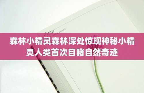 森林小精灵森林深处惊现神秘小精灵人类首次目睹自然奇迹