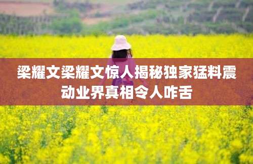 梁耀文梁耀文惊人揭秘独家猛料震动业界真相令人咋舌