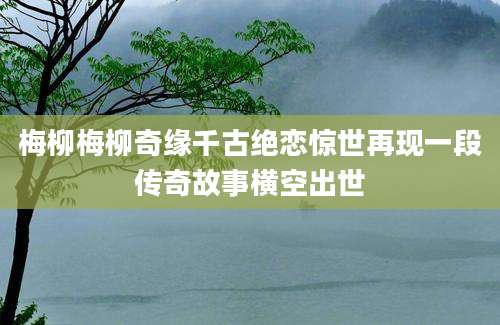 梅柳梅柳奇缘千古绝恋惊世再现一段传奇故事横空出世