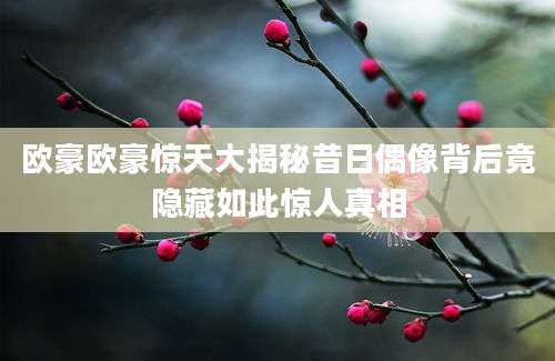 欧豪欧豪惊天大揭秘昔日偶像背后竟隐藏如此惊人真相