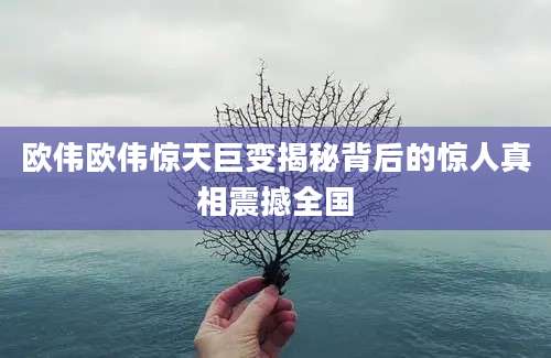 欧伟欧伟惊天巨变揭秘背后的惊人真相震撼全国