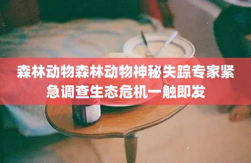 森林动物森林动物神秘失踪专家紧急调查生态危机一触即发