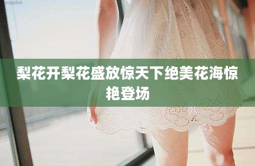 梨花开梨花盛放惊天下绝美花海惊艳登场