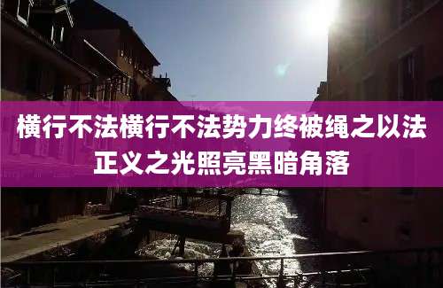 横行不法横行不法势力终被绳之以法正义之光照亮黑暗角落