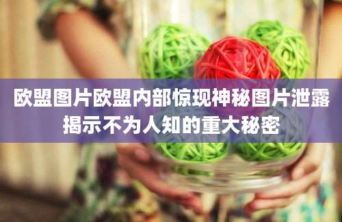 欧盟图片欧盟内部惊现神秘图片泄露揭示不为人知的重大秘密