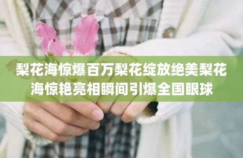梨花海惊爆百万梨花绽放绝美梨花海惊艳亮相瞬间引爆全国眼球