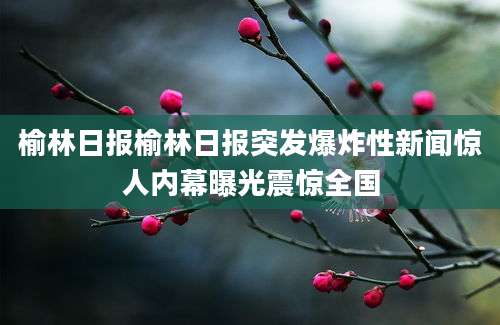 榆林日报榆林日报突发爆炸性新闻惊人内幕曝光震惊全国
