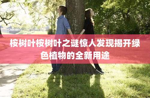 桉树叶桉树叶之谜惊人发现揭开绿色植物的全新用途