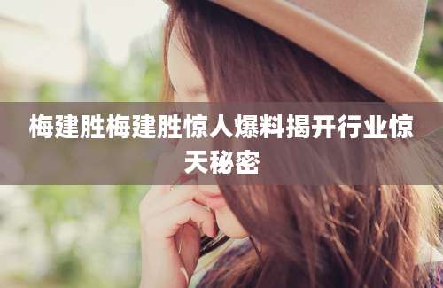 梅建胜梅建胜惊人爆料揭开行业惊天秘密
