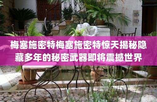 梅塞施密特梅塞施密特惊天揭秘隐藏多年的秘密武器即将震撼世界
