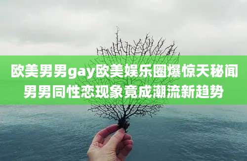 欧美男男gay欧美娱乐圈爆惊天秘闻男男同性恋现象竟成潮流新趋势