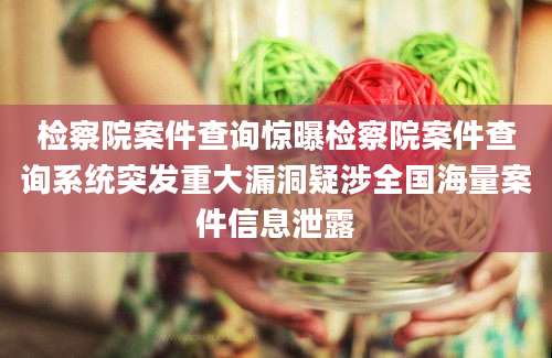 检察院案件查询惊曝检察院案件查询系统突发重大漏洞疑涉全国海量案件信息泄露