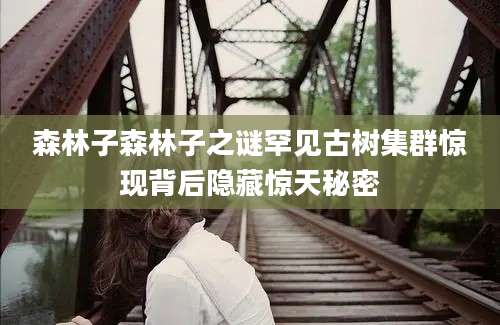森林子森林子之谜罕见古树集群惊现背后隐藏惊天秘密