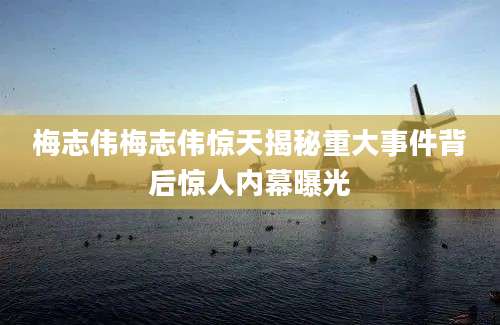 梅志伟梅志伟惊天揭秘重大事件背后惊人内幕曝光