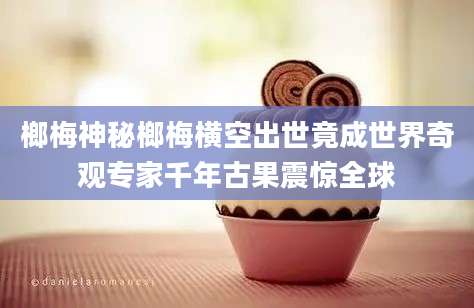 榔梅神秘榔梅横空出世竟成世界奇观专家千年古果震惊全球