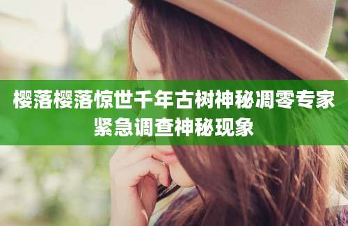 樱落樱落惊世千年古树神秘凋零专家紧急调查神秘现象