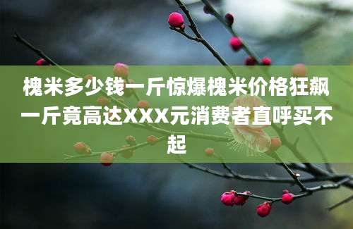 槐米多少钱一斤惊爆槐米价格狂飙一斤竟高达XXX元消费者直呼买不起