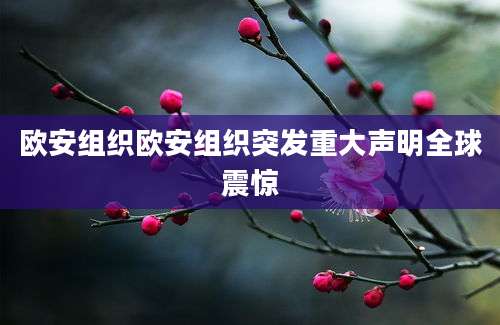 欧安组织欧安组织突发重大声明全球震惊