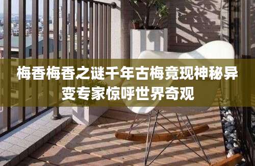 梅香梅香之谜千年古梅竟现神秘异变专家惊呼世界奇观