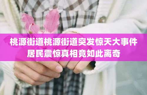 桃源街道桃源街道突发惊天大事件居民震惊真相竟如此离奇