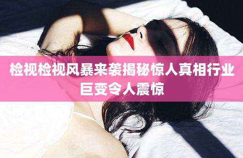检视检视风暴来袭揭秘惊人真相行业巨变令人震惊