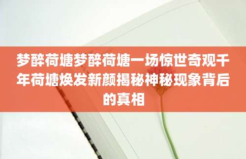 梦醉荷塘梦醉荷塘一场惊世奇观千年荷塘焕发新颜揭秘神秘现象背后的真相