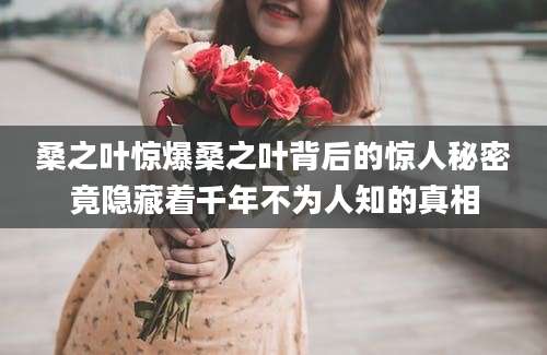 桑之叶惊爆桑之叶背后的惊人秘密竟隐藏着千年不为人知的真相