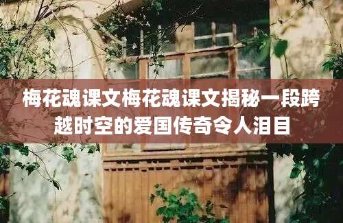 梅花魂课文梅花魂课文揭秘一段跨越时空的爱国传奇令人泪目