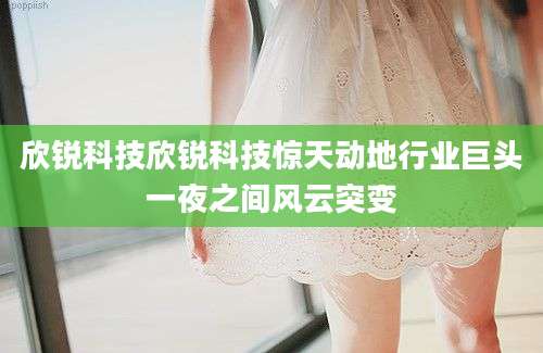 欣锐科技欣锐科技惊天动地行业巨头一夜之间风云突变