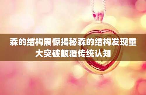 森的结构震惊揭秘森的结构发现重大突破颠覆传统认知