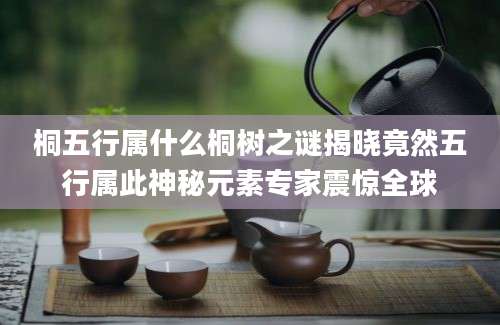 桐五行属什么桐树之谜揭晓竟然五行属此神秘元素专家震惊全球