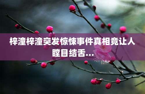 梓潼梓潼突发惊悚事件真相竟让人瞠目结舌...