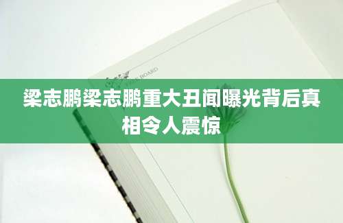 梁志鹏梁志鹏重大丑闻曝光背后真相令人震惊