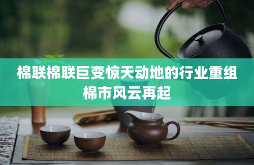 棉联棉联巨变惊天动地的行业重组棉市风云再起