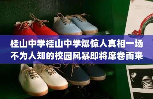 桂山中学桂山中学爆惊人真相一场不为人知的校园风暴即将席卷而来