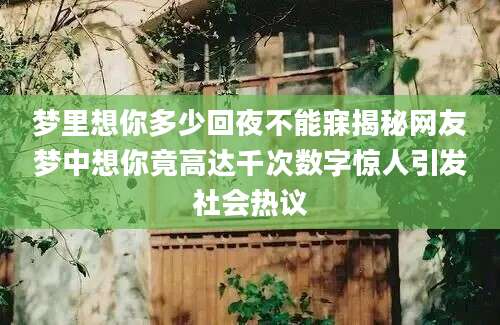 梦里想你多少回夜不能寐揭秘网友梦中想你竟高达千次数字惊人引发社会热议