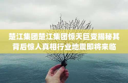 楚江集团楚江集团惊天巨变揭秘其背后惊人真相行业地震即将来临