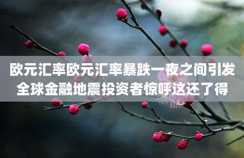 欧元汇率欧元汇率暴跌一夜之间引发全球金融地震投资者惊呼这还了得