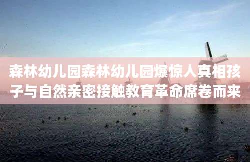 森林幼儿园森林幼儿园爆惊人真相孩子与自然亲密接触教育革命席卷而来